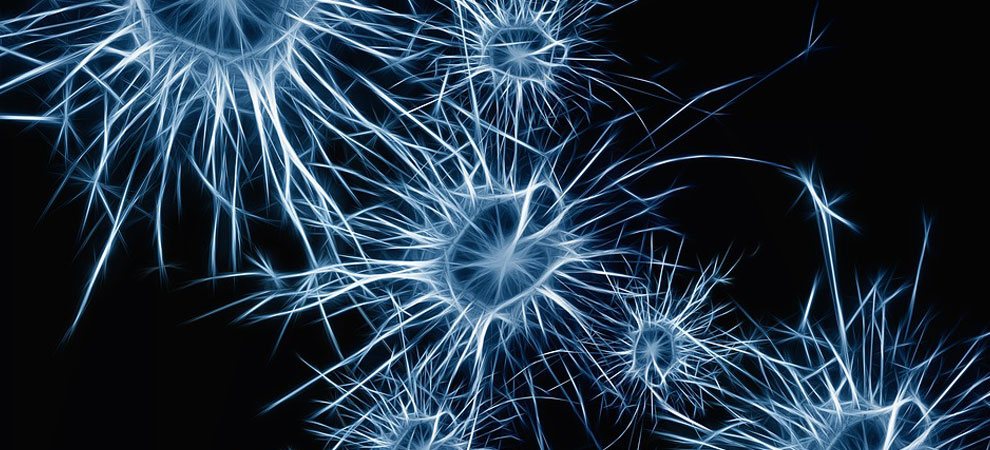 Motor Neurone Disease: A Useful Guide