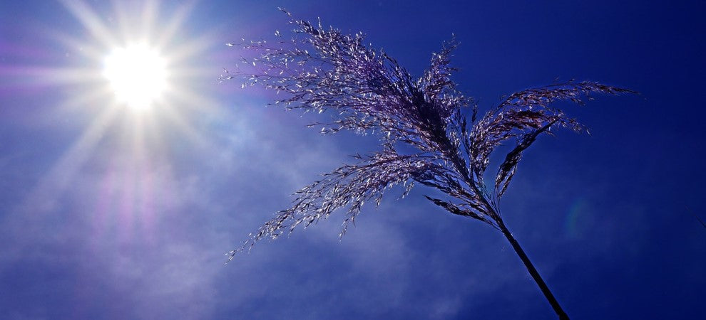 5 Ways to Keep Cool and Safe During the Heatwave