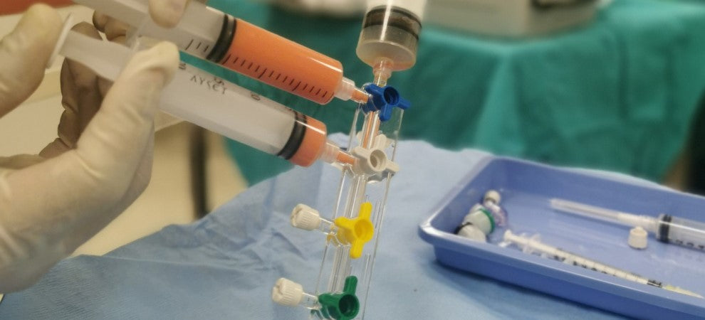 What are Stem Cells? A Simple Guide
