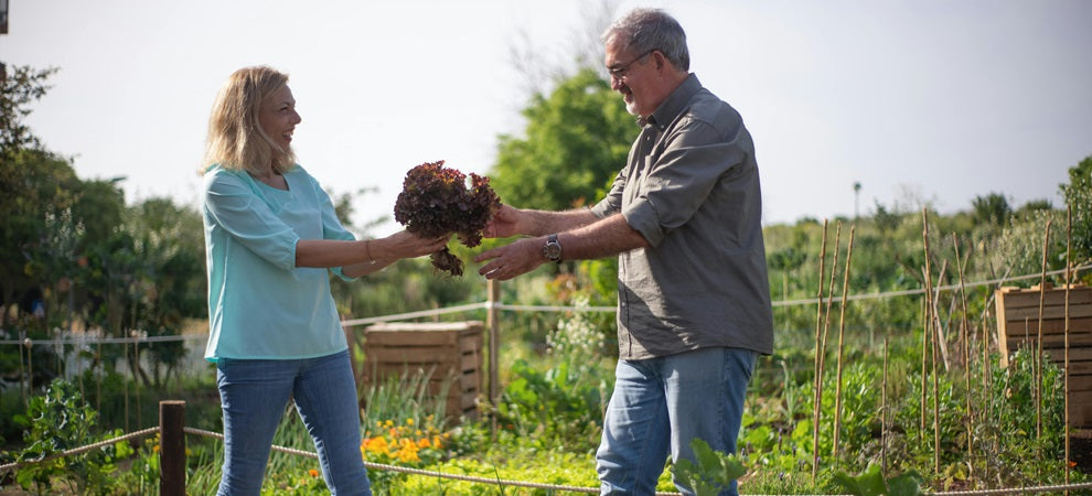 Amazing Health Benefits of Gardening for Pensioners