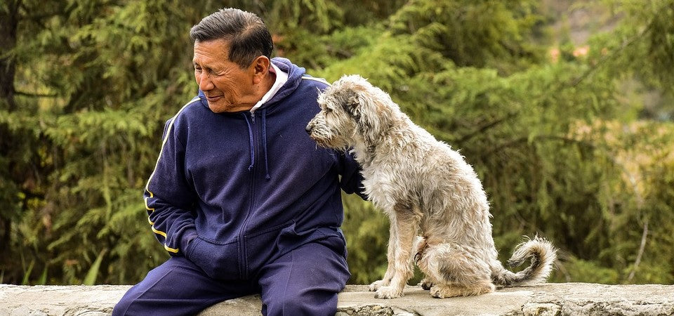 5 Benefits of Older People Having Pets