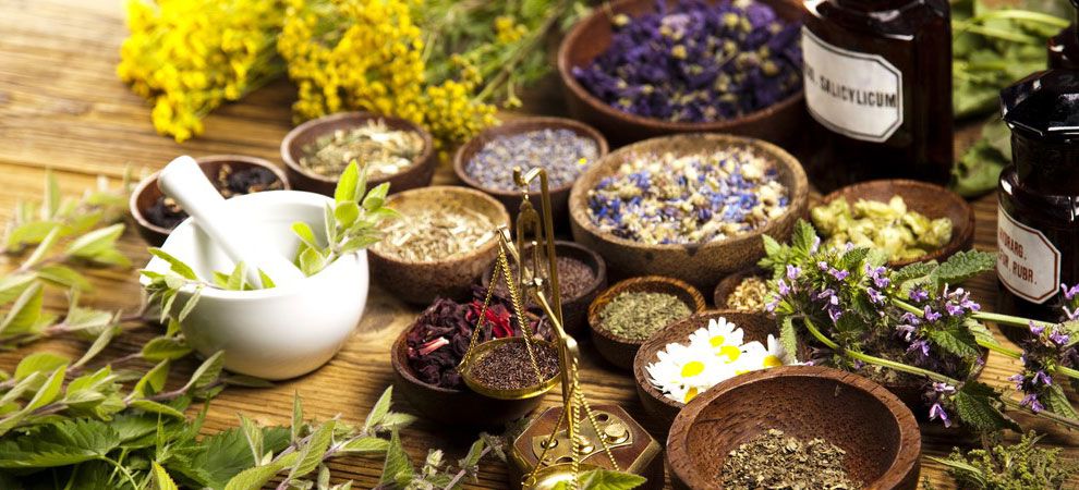 The Positive Impact of Herbs and Flowers on your Health | LifeConnect24